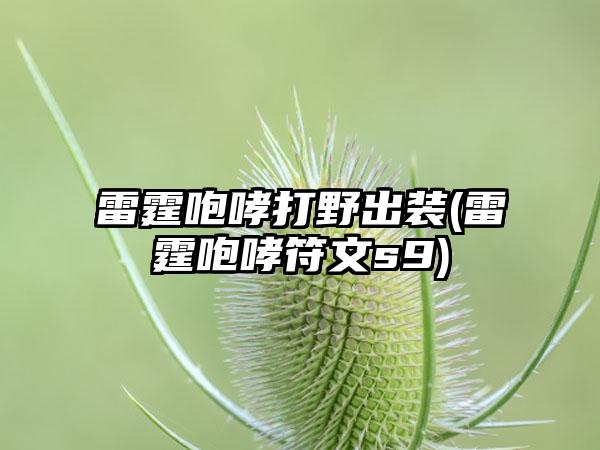 雷霆咆哮打野出装(雷霆咆哮符文s9)