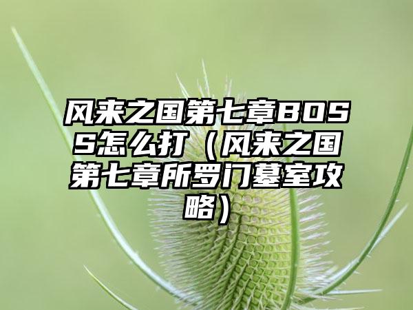 风来之国第七章BOSS怎么打（风来之国第七章所罗门墓室攻略）