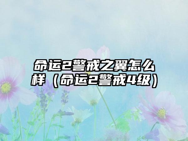 命运2警戒之翼怎么样（命运2警戒4级）