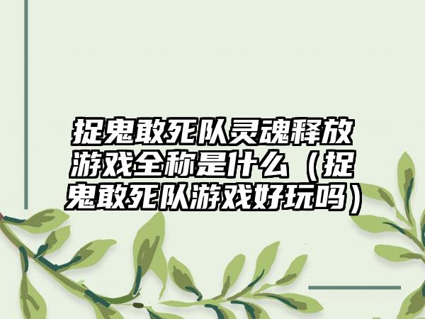 捉鬼敢死队灵魂释放游戏全称是什么（捉鬼敢死队游戏好玩吗）