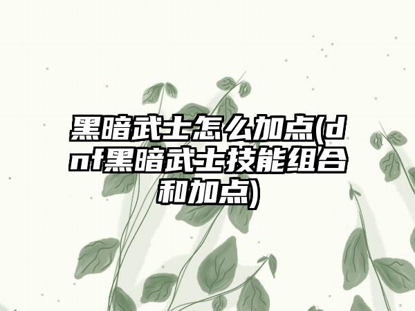 黑暗武士怎么加点(dnf黑暗武士技能组合和加点)