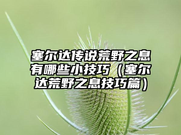 塞尔达传说荒野之息有哪些小技巧（塞尔达荒野之息技巧篇）