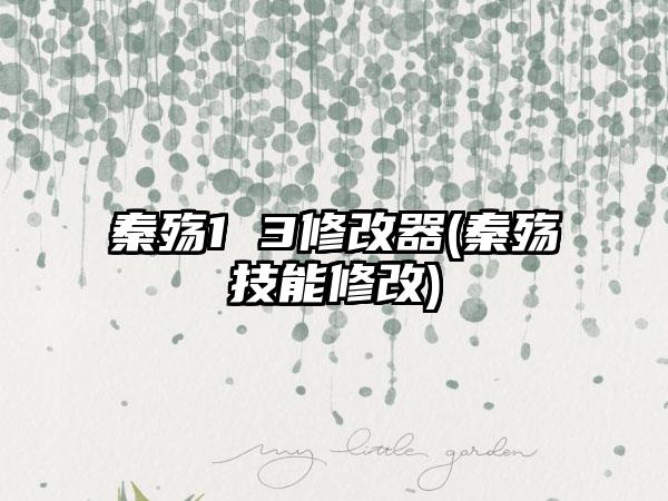 秦殇1 3修改器(秦殇技能修改)