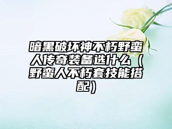 暗黑破坏神不朽野蛮人传奇装备选什么（野蛮人不朽套技能搭配）