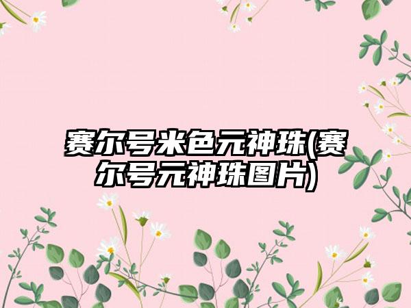 赛尔号米色元神珠(赛尔号元神珠图片)