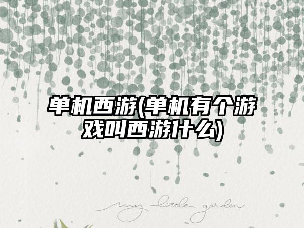 单机西游(单机有个游戏叫西游什么)