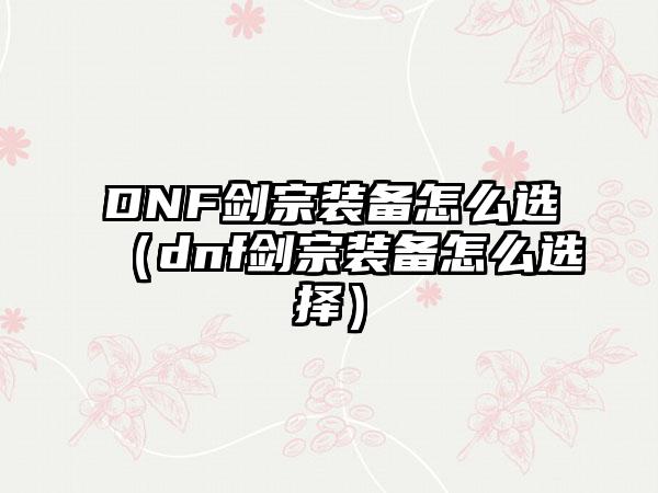 DNF剑宗装备怎么选（dnf剑宗装备怎么选择）