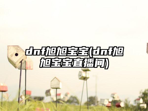 dnf旭旭宝宝(dnf旭旭宝宝直播间)