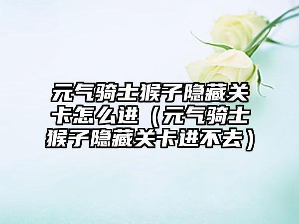 元气骑士猴子隐藏关卡怎么进（元气骑士猴子隐藏关卡进不去）