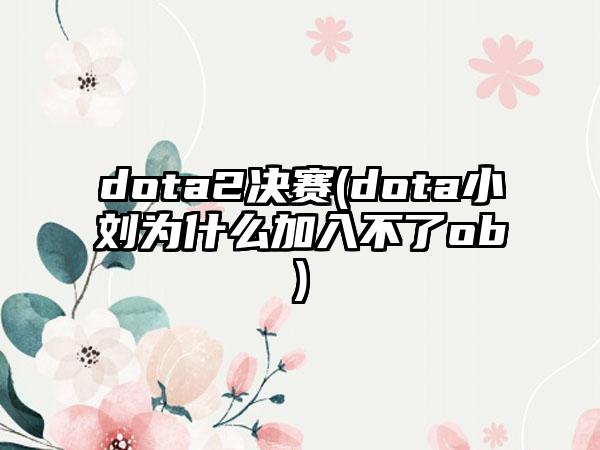 dota2决赛(dota小刘为什么加入不了ob)