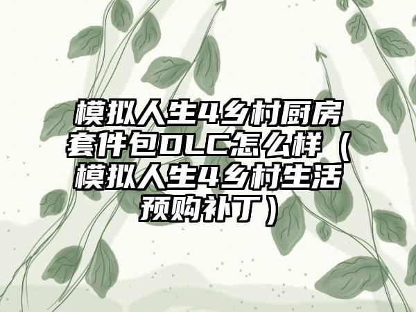 模拟人生4乡村厨房套件包DLC怎么样（模拟人生4乡村生活预购补丁）