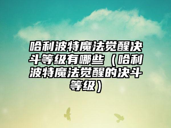 哈利波特魔法觉醒决斗等级有哪些(哈利波特魔法觉醒的决斗等级)