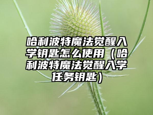 哈利波特魔法觉醒入学钥匙怎么使用（哈利波特魔法觉醒入学任务钥匙）