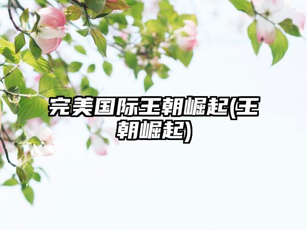 完美国际王朝崛起(王朝崛起)