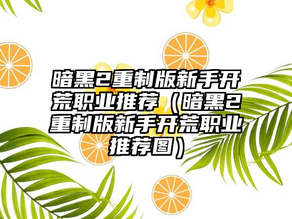 暗黑2重制版新手开荒职业推荐（暗黑2重制版新手开荒职业推荐图）