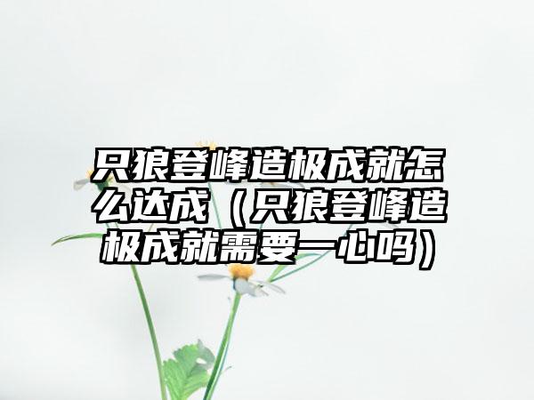 只狼登峰造极成就怎么达成（只狼登峰造极成就需要一心吗）