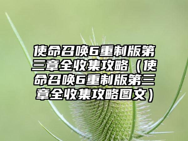 使命召唤6重制版第三章全收集攻略（使命召唤6重制版第三章全收集攻略图文）