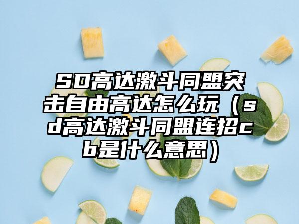 SD高达激斗同盟突击自由高达怎么玩（sd高达激斗同盟连招cb是什么意思）