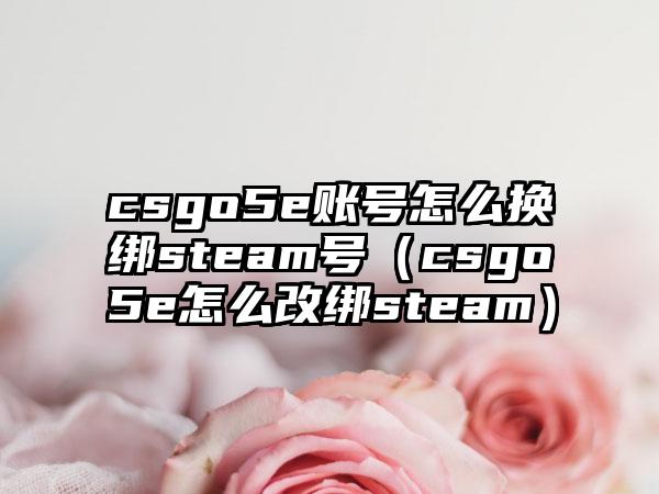 csgo5e账号怎么换绑steam号（csgo5e怎么改绑steam）
