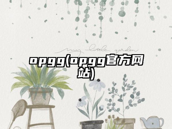 opgg(opgg官方网站)
