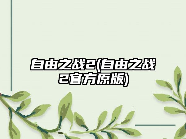 自由之战2(自由之战2官方原版)