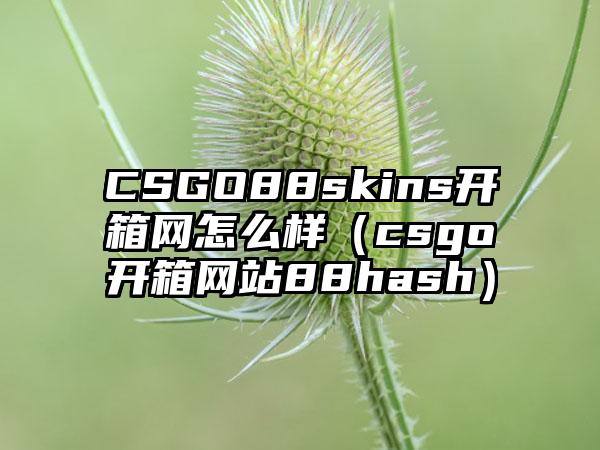 CSGO88skins开箱网怎么样（csgo开箱网站88hash）
