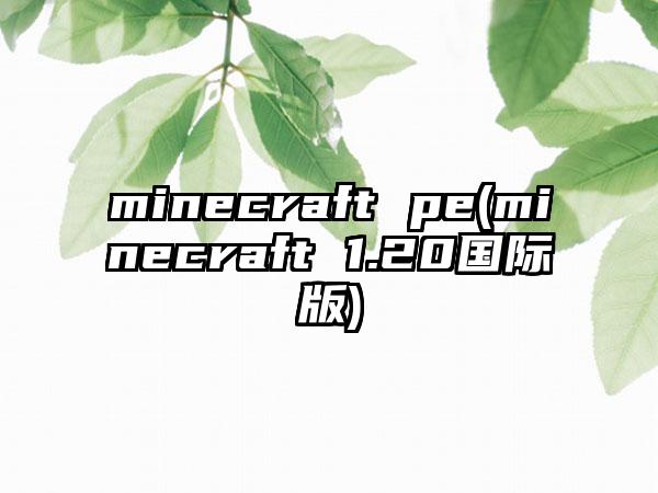 minecraft pe(minecraft 1.20国际版)