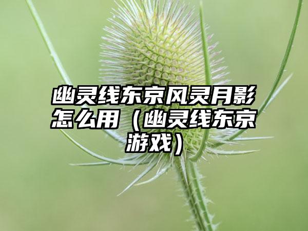 幽灵线东京风灵月影怎么用（幽灵线东京游戏）