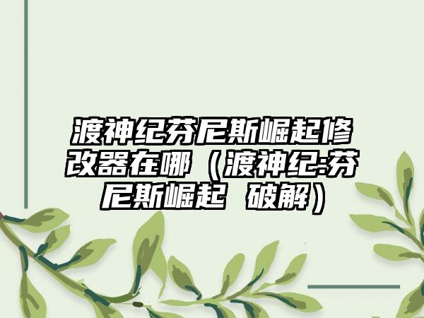 渡神纪芬尼斯崛起修改器在哪（渡神纪:芬尼斯崛起 破解）