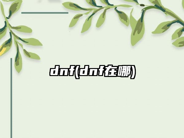 dnf(dnf在哪)