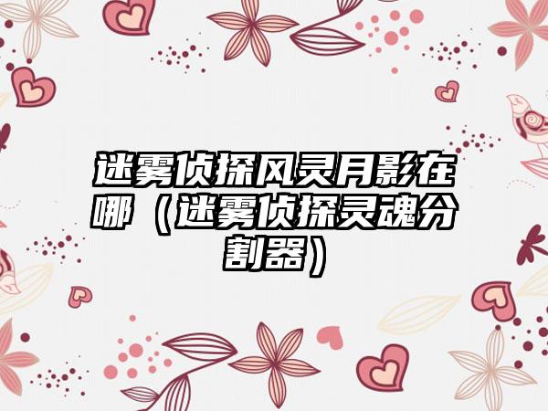 迷雾侦探风灵月影在哪（迷雾侦探灵魂分割器）