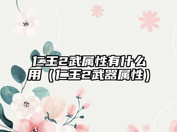 仁王2武属性有什么用（仁王2武器属性）