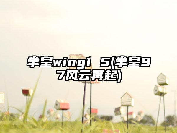 拳皇wing1 5(拳皇97风云再起)