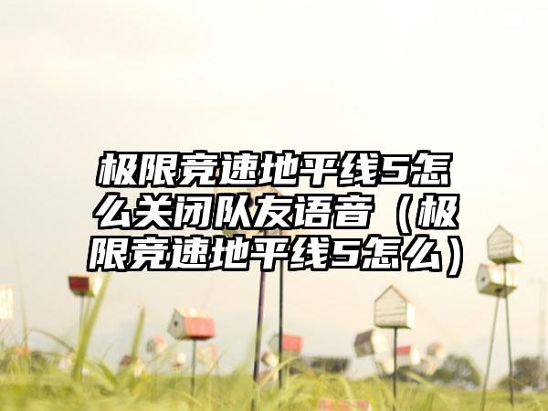 极限竞速地平线5怎么关闭队友语音（极限竞速地平线5怎么）