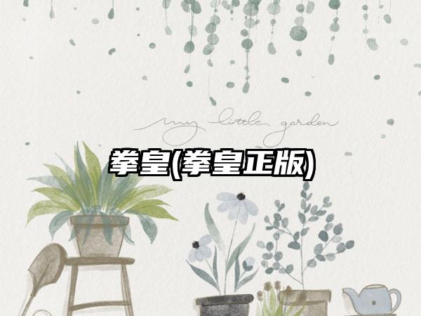 拳皇(拳皇正版)