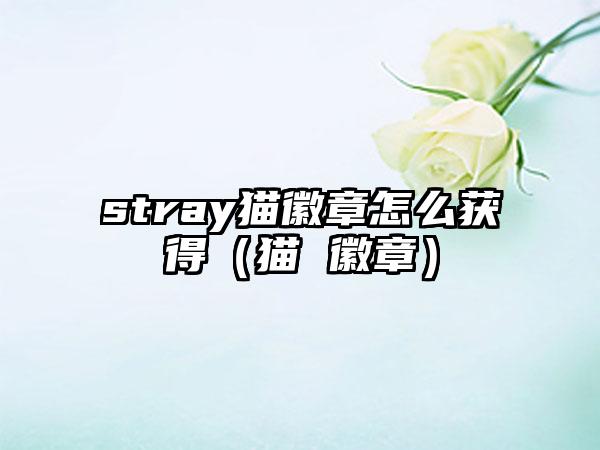 stray猫徽章怎么获得（猫 徽章）
