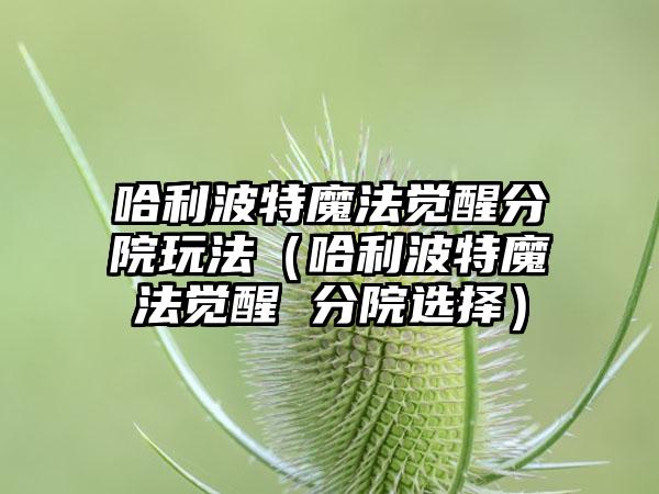 哈利波特魔法觉醒分院玩法（哈利波特魔法觉醒 分院选择）