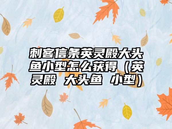 刺客信条英灵殿大头鱼小型怎么获得（英灵殿 大头鱼 小型）