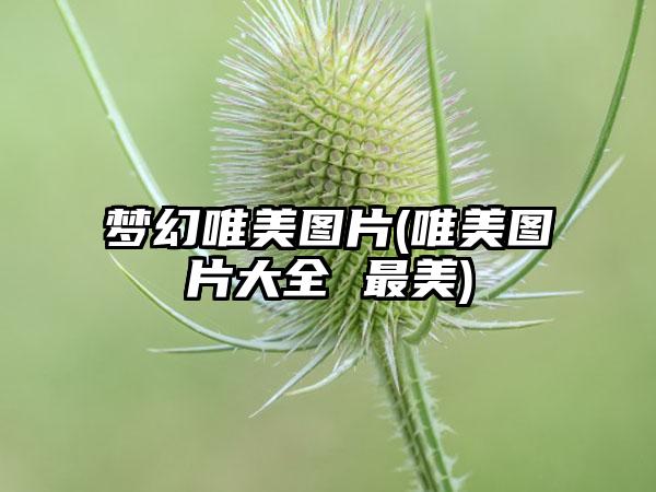 梦幻唯美图片(唯美图片大全 最美)