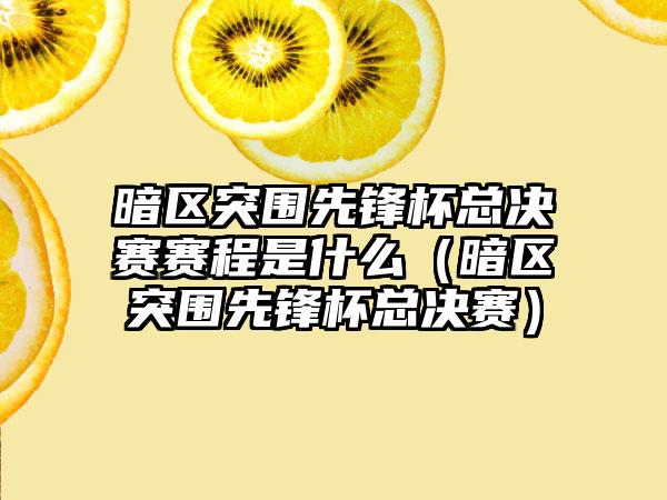 暗区突围先锋杯总决赛赛程是什么（暗区突围先锋杯总决赛）