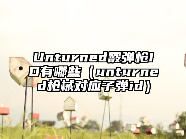 Unturned霰弹枪ID有哪些（unturned枪械对应子弹id）