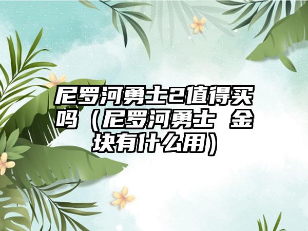 尼罗河勇士2值得买吗（尼罗河勇士 金块有什么用）