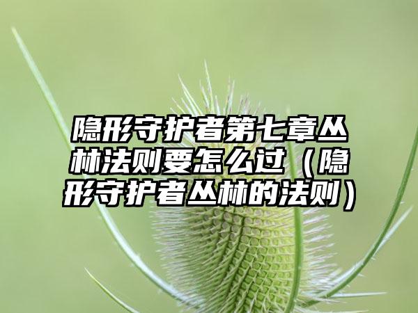 隐形守护者第七章丛林法则要怎么过（隐形守护者丛林的法则）