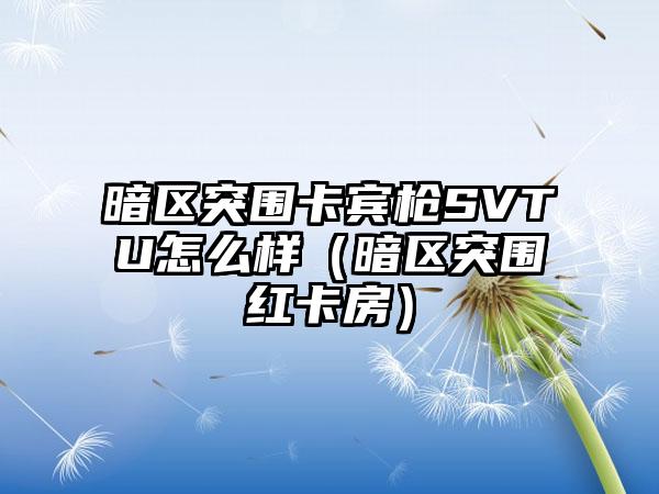 暗区突围卡宾枪SVTU怎么样（暗区突围红卡房）