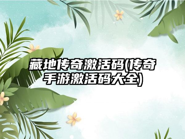 藏地传奇激活码(传奇手游激活码大全)