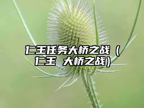 仁王任务大桥之战（仁王 大桥之战）