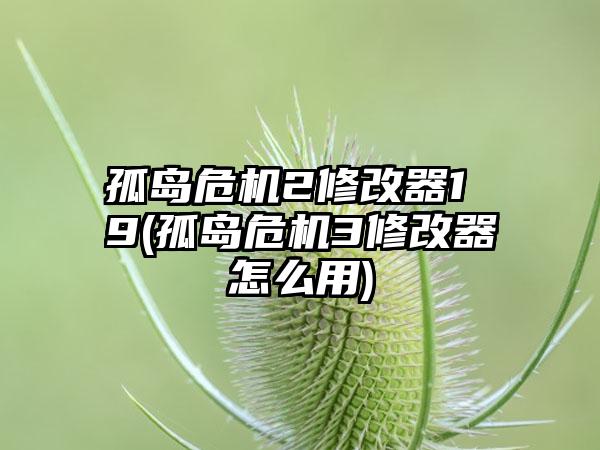 孤岛危机2修改器1 9(孤岛危机3修改器怎么用)