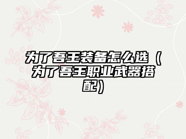 为了吾王装备怎么选（为了吾王职业武器搭配）