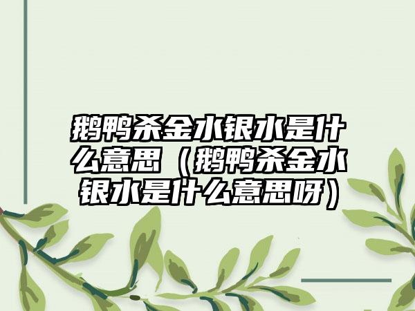 鹅鸭杀金水银水是什么意思（鹅鸭杀金水银水是什么意思呀）