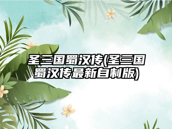 圣三国蜀汉传(圣三国蜀汉传最新自制版)